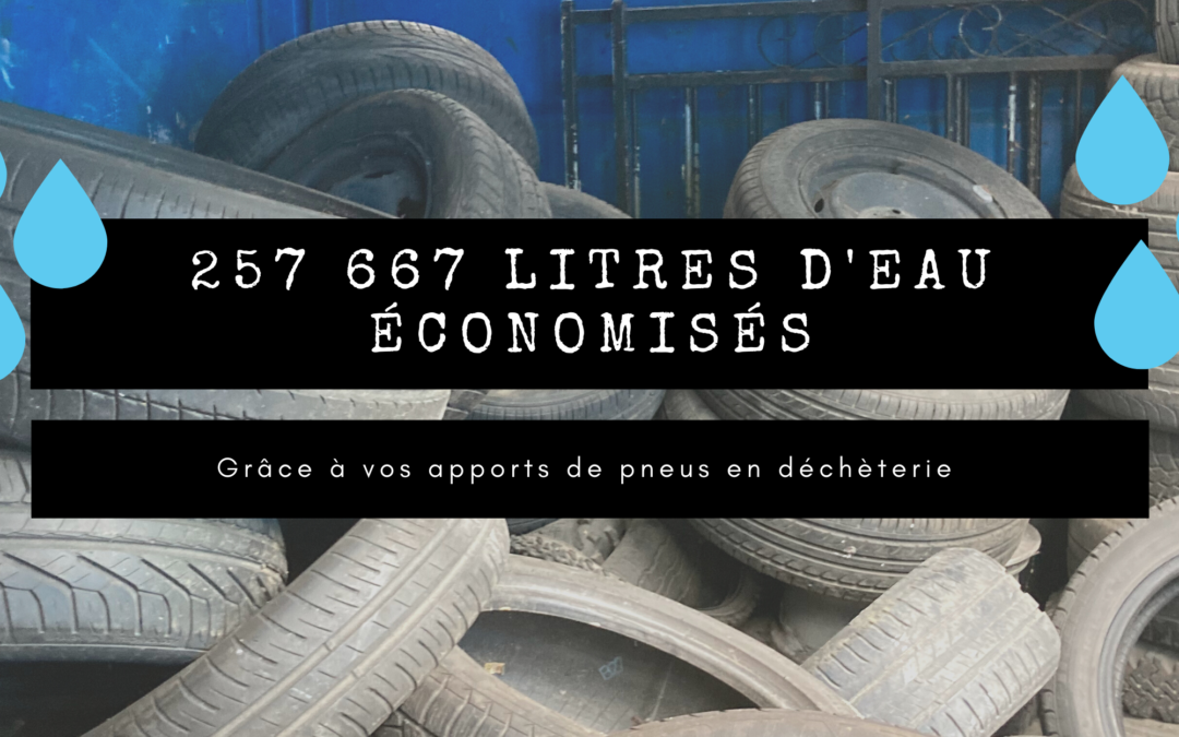 Encore un certificat d&rsquo;excellence pour Tri-Action !