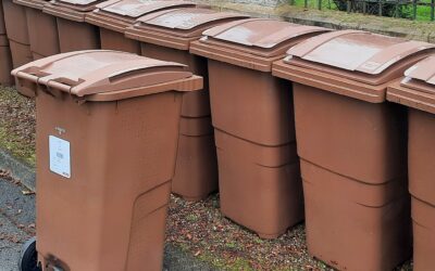 Information : Livraison des bacs à déchets verts !