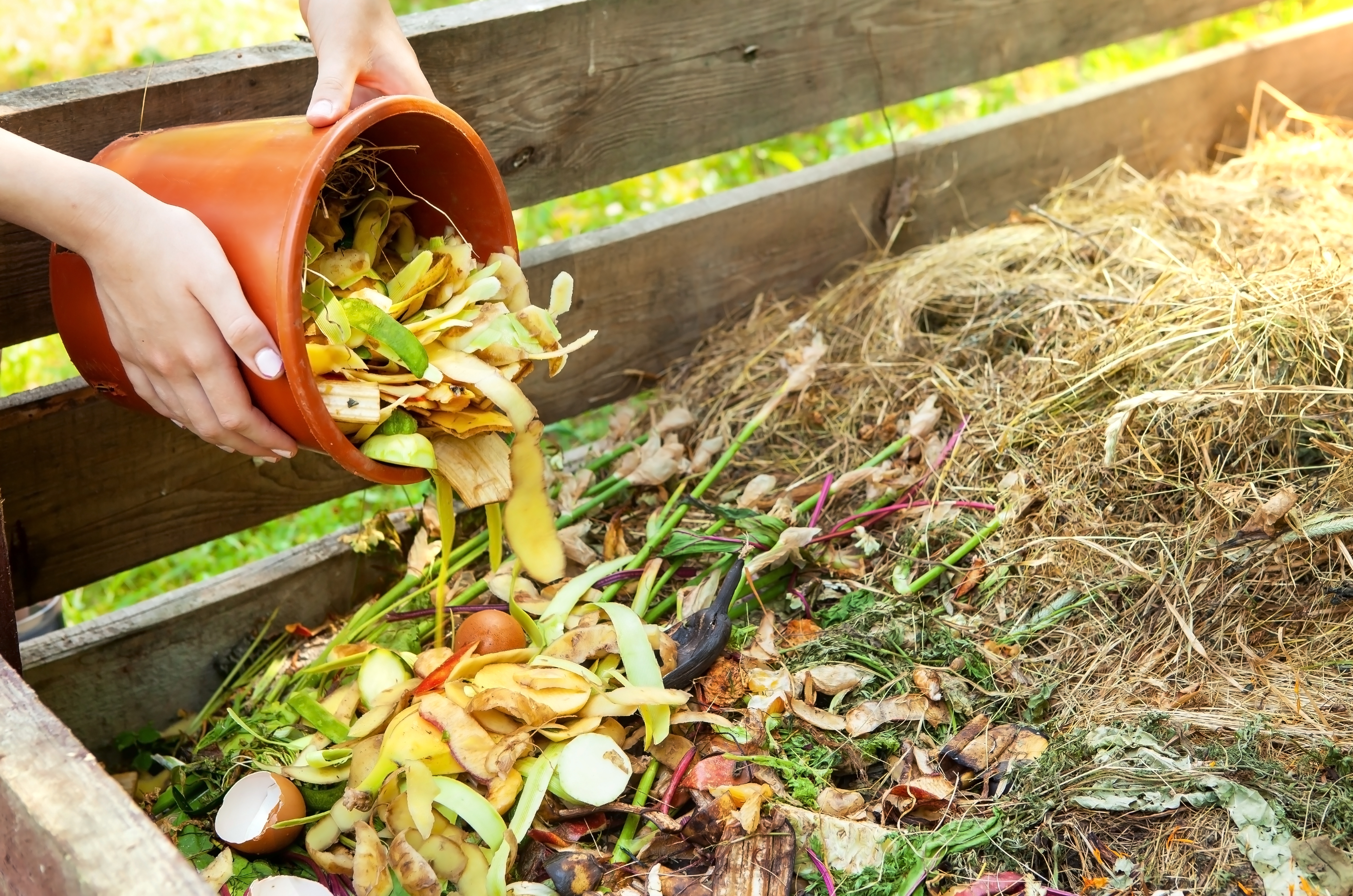 A,Woman,Throws,Kitchen,Waste,,Vegetable,And,Fruit,Peels,From