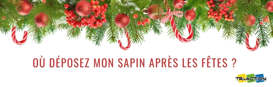 Collecte des sapins 2026