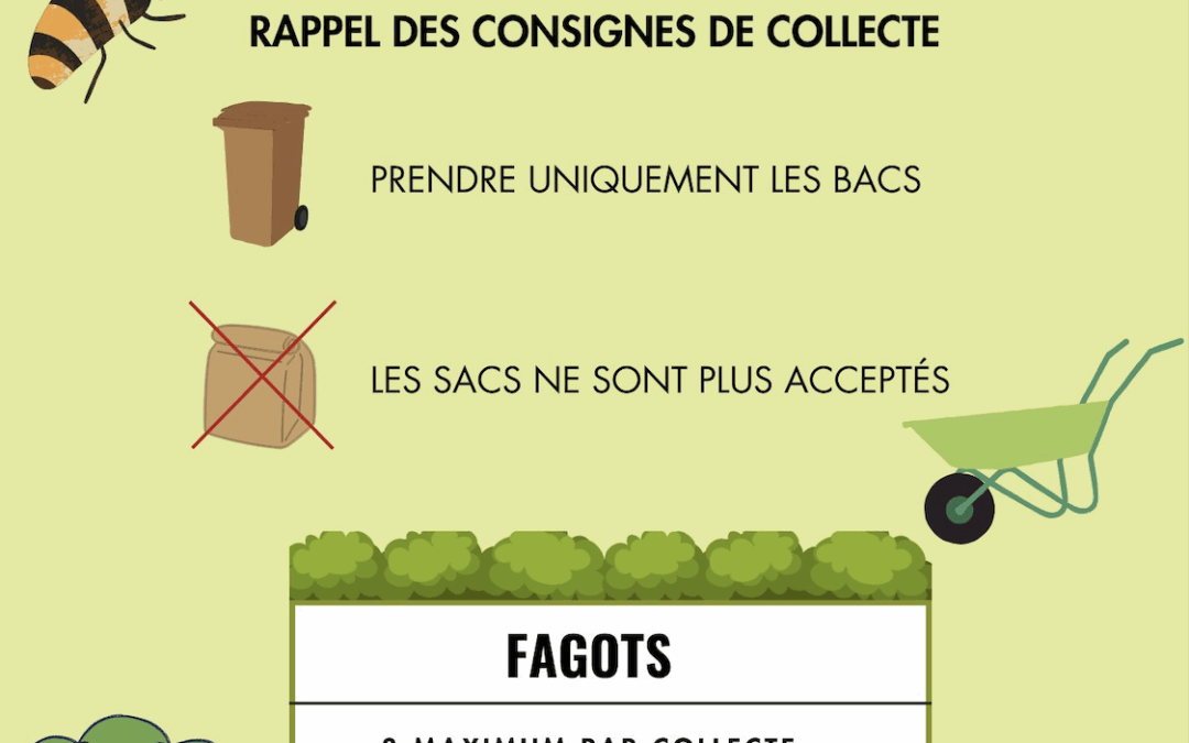Nouvelles modalités: collecte des végétaux