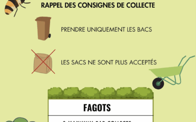 Nouvelles modalités: collecte des végétaux